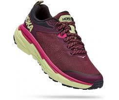 HOKA CHALLENGER ATR 6 Shoes - BRANDSAT50
ARTICLE - 1106512